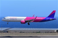 Miguel A. gueda Rguez.  (CANARY ISLANDS SPOTTING). Click to see full size photo