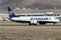 Alfonso Sols - Asociacin Canary Islands Spotting. Click to see full-size photo
