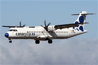 Alfonso Sols - Asociacin Canary Islands Spotting. Click to see full size photo
