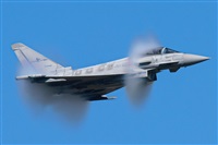 Tams. Click to see full size photo