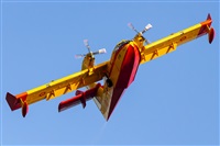 ©Aaròn25. Click to see full size photo ©Aaròn25. Click to see full size photo