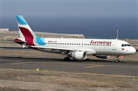 ©Alfonso Solís - Asociación Canary Islands Spotting. Click to see full size photo ©Alfonso Solís - Asociación Canary Islands Spotting. Click to see full size photo