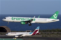 ©Adolfo Bento - Gran Canaria Spotters. Click to see full size photo ©Adolfo Bento - Gran Canaria Spotters. Click to see full size photo