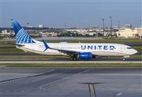 �Rod Dermo. Click to see full size photo