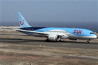 ©Alfonso Solís - Asociación Canary Islands Spotting. Click to see full size photo ©Alfonso Solís - Asociación Canary Islands Spotting. Click to see full size photo