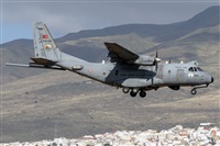 �Adolfo Bento - Gran Canaria Spotters. Click to see full size photo