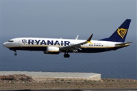 �Alfonso Sol�s - Asociaci�n Canary Islands Spotting. Click to see full size photo