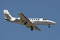 Jos Miguel Bernases - Noisy Spotters. Click to see full size photo