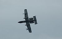 Adrin Chapela Cordeiro - Gallaecia Spotters. Click to see full size photo