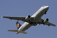 Jos Miguel Bernases - Noisy Spotters. Click to see full size photo
