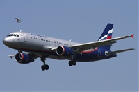 Jos Miguel Bernases - Noisy Spotters. Click to see full size photo
