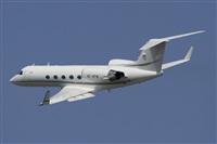 Jos Miguel Bernases - Noisy Spotters. Click to see full size photo