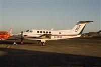 Javier de la Cruz - CANARY ISLANDS SPOTTING. Click to see full size photo