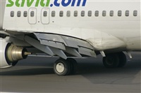 Gerardo A. Prez   Canary Islands Spotting. Click to see full size photo
