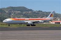 ©Javier de la Cruz - CANARY ISLANDS SPOTTING. Click to see full size photo ©Javier de la Cruz - CANARY ISLANDS SPOTTING. Click to see full size photo