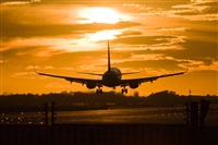 Jos Miguel Bernases - Noisy Spotters. Click to see full size photo