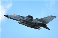 Aset Anton. Click to see full size photo