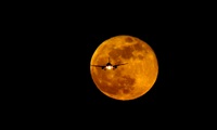 Pere  Escala - Spotters Barcelona-El Prat. Click to see full size photo