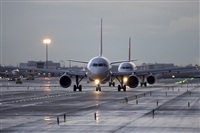 Jos Miguel Bernases - Noisy Spotters. Click to see full size photo