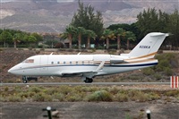 Miguel A. gueda Rguez.  (CANARY ISLANDS SPOTTING). Haz click para ampliar