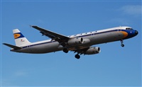Rubn Gil - Noisy Spotters. Click to see full size photo