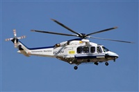 Miguel A. gueda Rguez.  (CANARY ISLANDS SPOTTING). Click to see full size photo