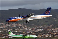 Nacho Rodriguez - Canary Islands Spotting. Click to see full size photo