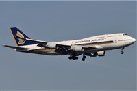 Rubn Gil - Noisy Spotters. Click to see full size photo