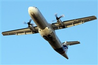 Nacho Rodriguez - Canary Islands Spotting. Click to see full size photo