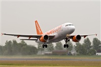Javier de la Cruz - CANARY ISLANDS SPOTTING. Click to see full size photo