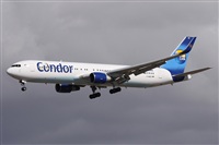 ©Alfonso Solís - Asociación Canary Islands Spotting. Click to see full size photo ©Alfonso Solís - Asociación Canary Islands Spotting. Click to see full size photo