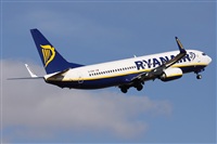 Alfonso Sols - Asociacin Canary Islands Spotting. Haz click para ampliar