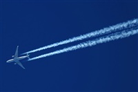 Rodrigo Carvalho - Noisy Spotters. Click to see full size photo