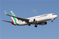 Alfonso Sols - Asociacin Canary Islands Spotting. Haz click para ampliar