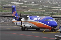Miguel A. gueda Rguez.  (CANARY ISLANDS SPOTTING). Haz click para ampliar