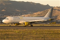 Javier de la Cruz - CANARY ISLANDS SPOTTING. Click to see full size photo