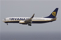 Alfonso Sols - Asociacin Canary Islands Spotting. Haz click para ampliar