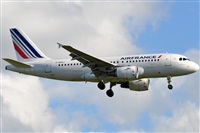 Rubn Gil - Noisy Spotters. Click to see full size photo