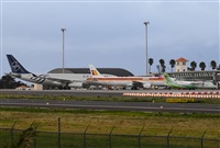 Ss. Click to see full size photo