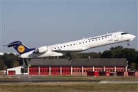 ©Miguel Alia - Noisy Spotters. Click to see full size photo