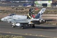 Bartolom Fernndez - Gran Canaria Spotters. Haz click para ampliar
