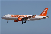 Alfonso Sols - Asociacin Canary Islands Spotting. Click to see full size photo