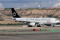 norber. Click to see full size photo