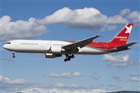 Miguel Alia - Noisy Spotters. Click to see full size photo