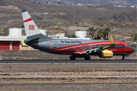 ©Alfonso Solís - Asociación Canary Islands Spotting. Click to see full size photo ©Alfonso Solís - Asociación Canary Islands Spotting. Click to see full size photo