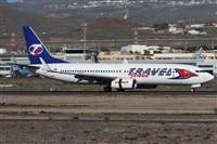 ©Alfonso Solís - Asociación Canary Islands Spotting. Click to see full size photo ©Alfonso Solís - Asociación Canary Islands Spotting. Click to see full size photo