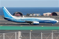 Bartolom Fernndez - Gran Canaria Spotters. Click to see full size photo