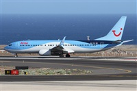©Alfonso Solís - Asociación Canary Islands Spotting. Click to see full size photo ©Alfonso Solís - Asociación Canary Islands Spotting. Click to see full size photo