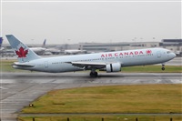 Miguel A. gueda Rguez.  (CANARY ISLANDS SPOTTING). Click to see full size photo
