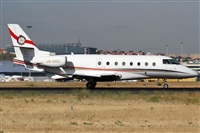 Rubn Gil - Noisy Spotters. Click to see full size photo